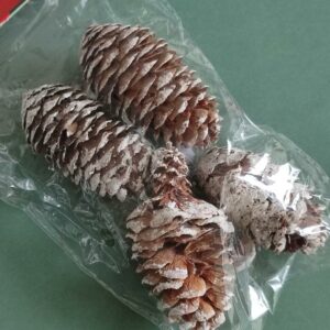 Pinhas longas  aprox. 7x4 cm -4 uni
