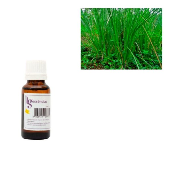 ESSENCIA 20ML VETIVER