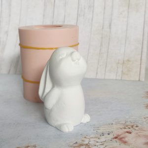 Molde em silicone - Coelho ternurento --3D