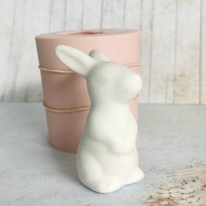 Molde em silicone - Coelho feliz --3D