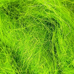 Rafia VERDE - 70 grs