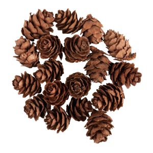 Mini pinhas natural - Rayher - Pack 18 unid