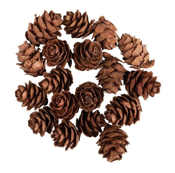 Mini pinhas natural - Rayher - Pack 18 unid