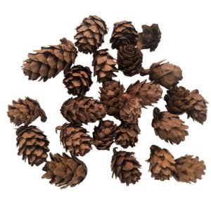 Pack mini pinhas naturais