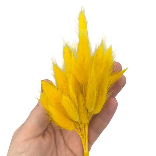 Raminho de flores secas -Lagurus -Amarelo