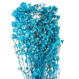 Flor preservada GYPSOPHILA-Azul