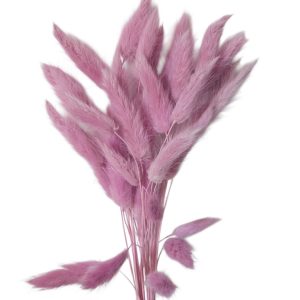 Raminho de flores secas -Lagurus -Rosa Velho