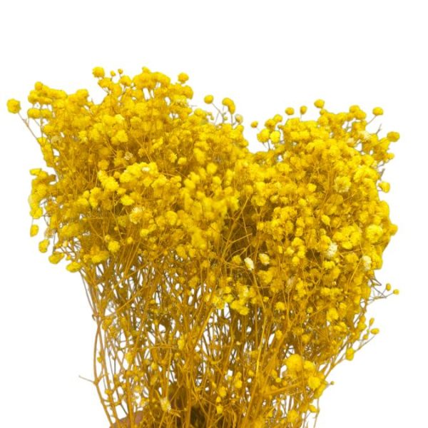 Flor preservada GYPSOPHILA-Amarelo