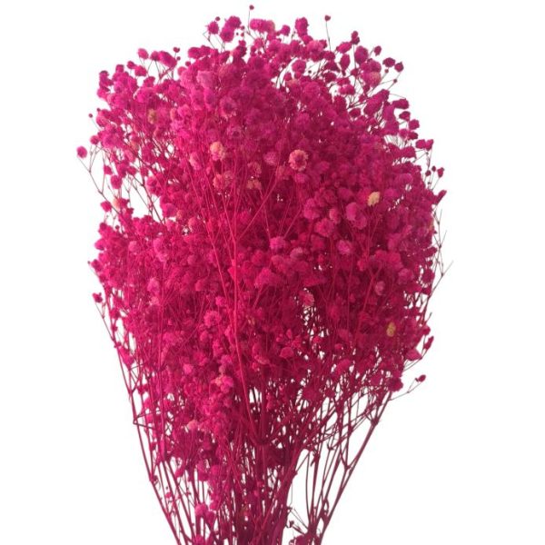 Flor preservada GYPSOPHILA-Rosa