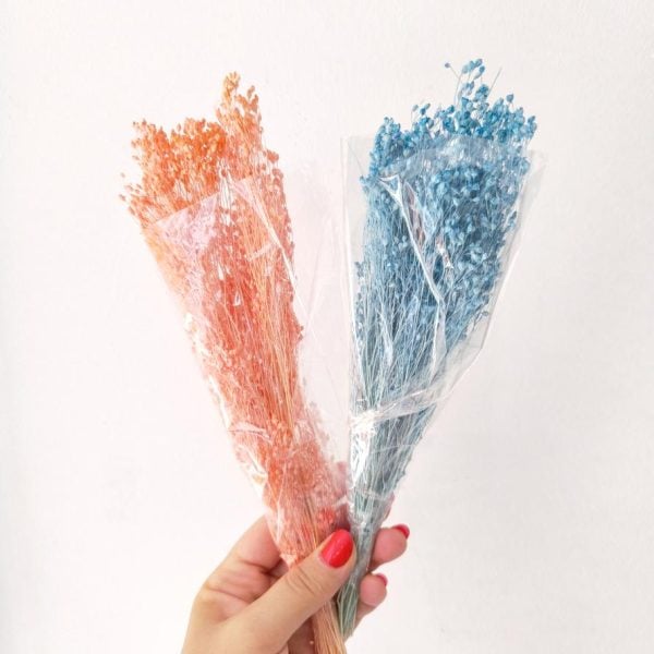 Raminho de flores secas -Brooms - Image 2