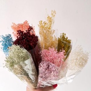 Raminho de flores secas -Brooms
