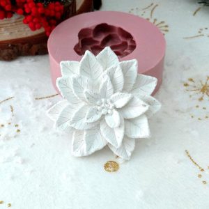 Molde em silicone - Estrelícia