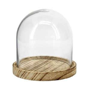 Campânula em vidro com base em madeira 10 x 10 cm