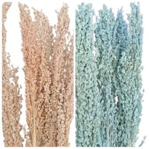 Flores preservadas - Sorgo Seco