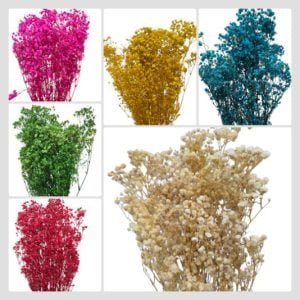 Flor preservada - Gypsophila